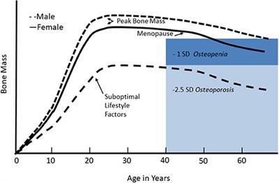 Evolutionary Perspectives on the Developing Skeleton and Implications for Lifelong Health